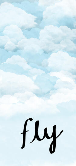 Fly